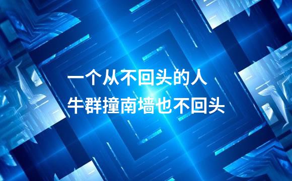 一个从不回头的人 牛群撞南墙也不回头
